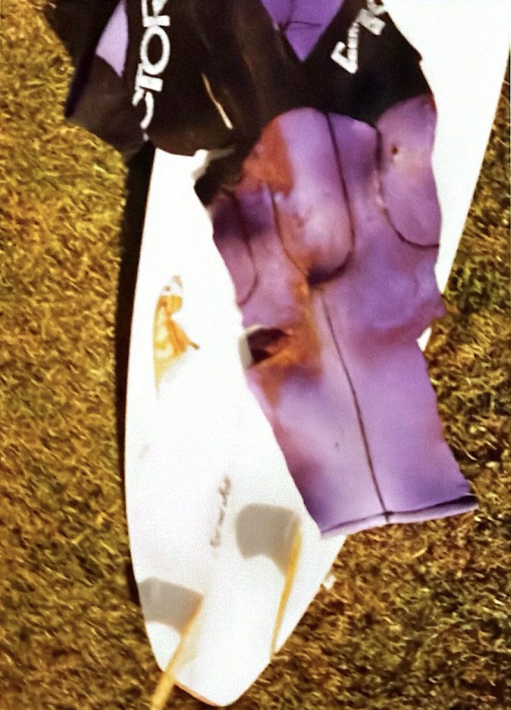 Shark Bite, 1996