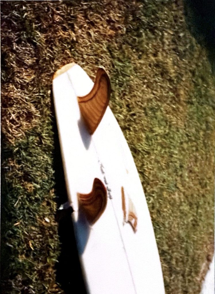 Shark Bite, 1996
