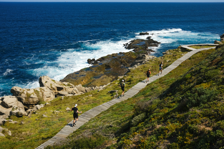 Walking path along a rocky coastline with crashing waves