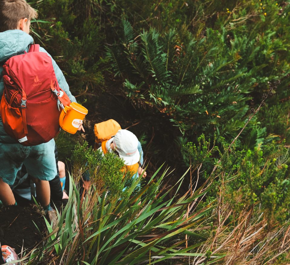 Hikers with backpacks climbing through tall fynbos