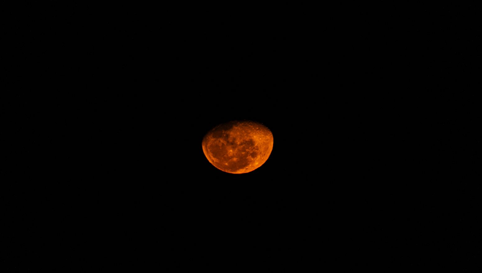 Orange moon rising in a dark night sky